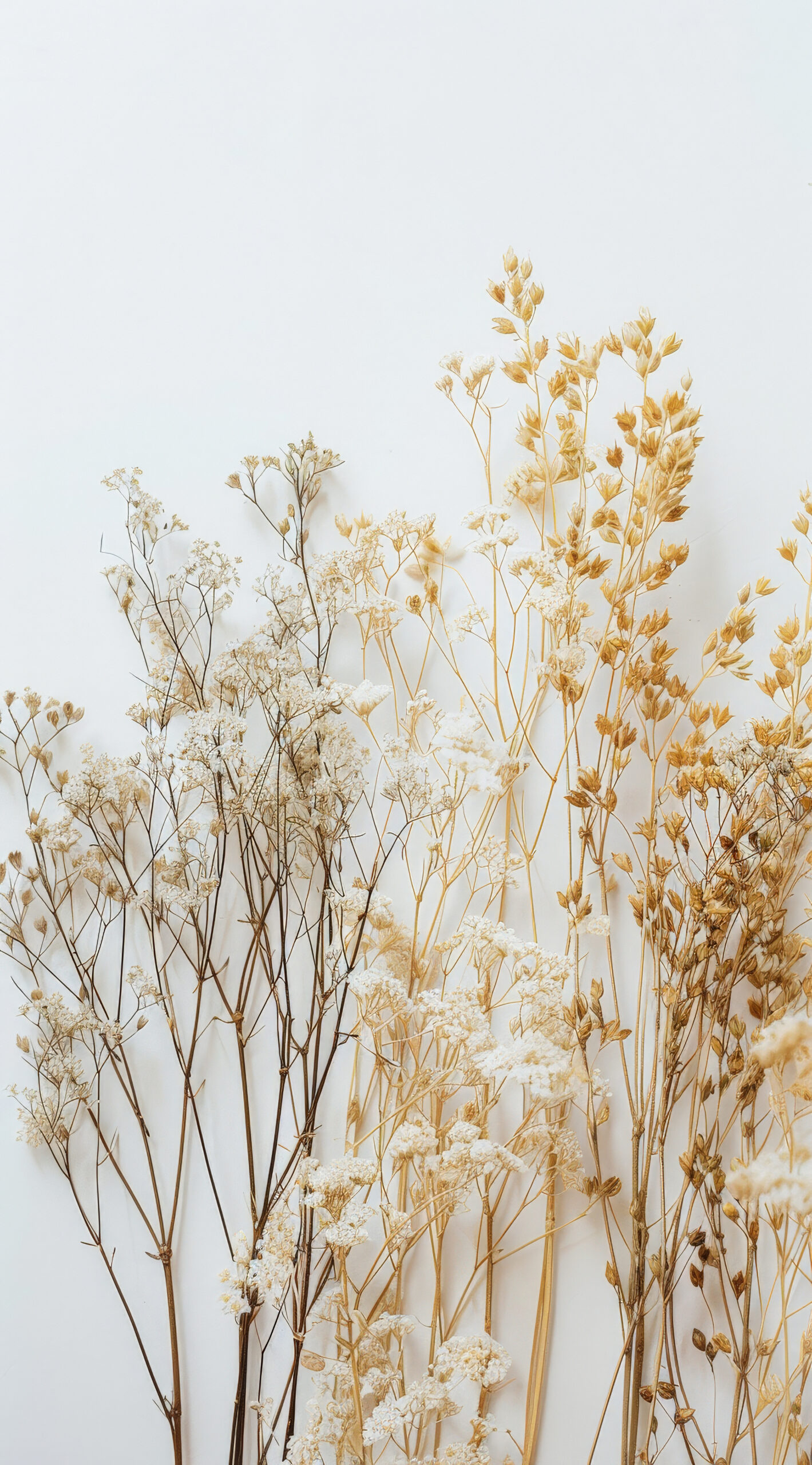 dreamy-arrangement-with-decorative-dried-flowers