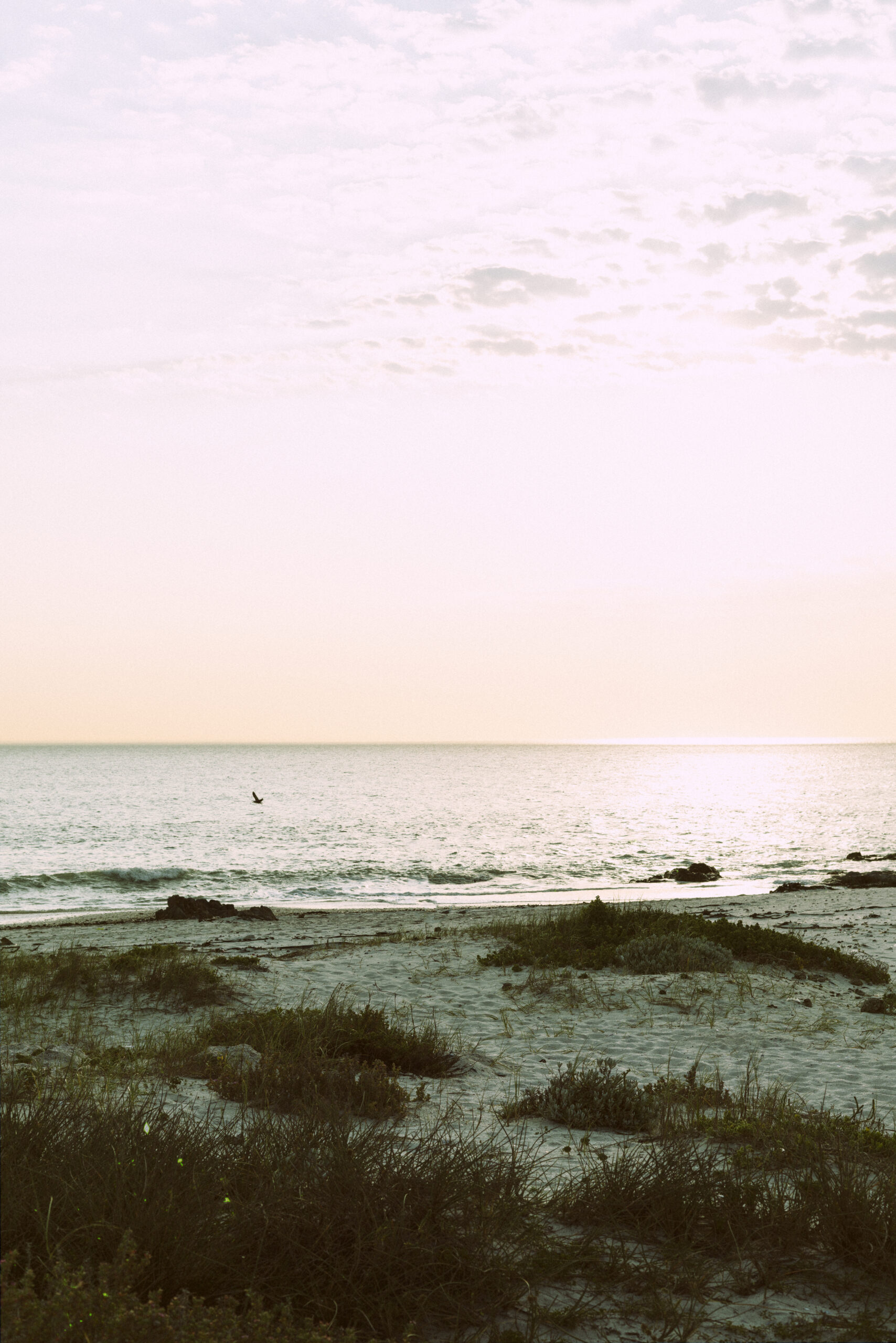 vintage-landscape-photo